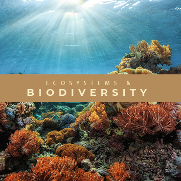 Ecosystems and Biodiversity